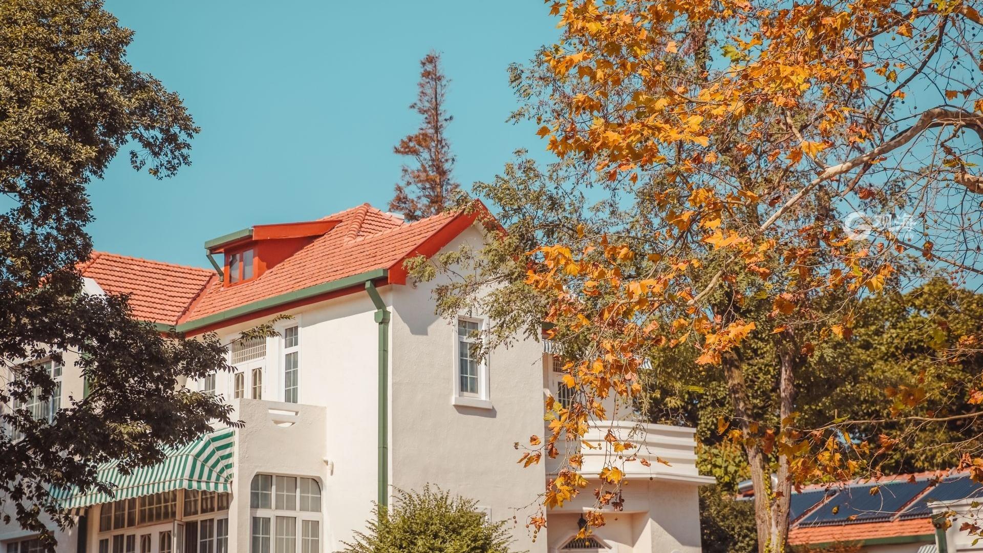 秋天的颜色不止金黄！这份壁纸请收好