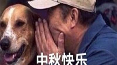 桉月|表情包：中秋节快乐的可爱表情