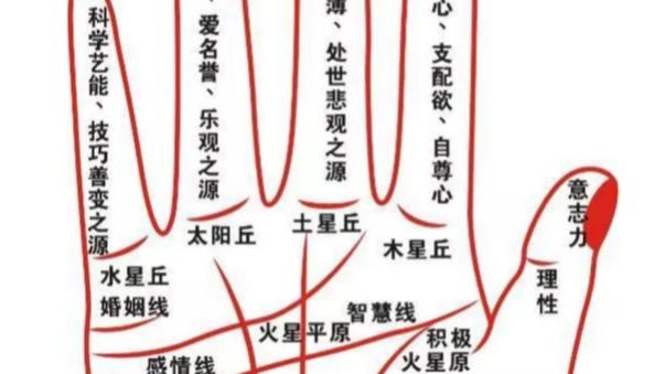 玄风命理|手相能看你一生富贵财富