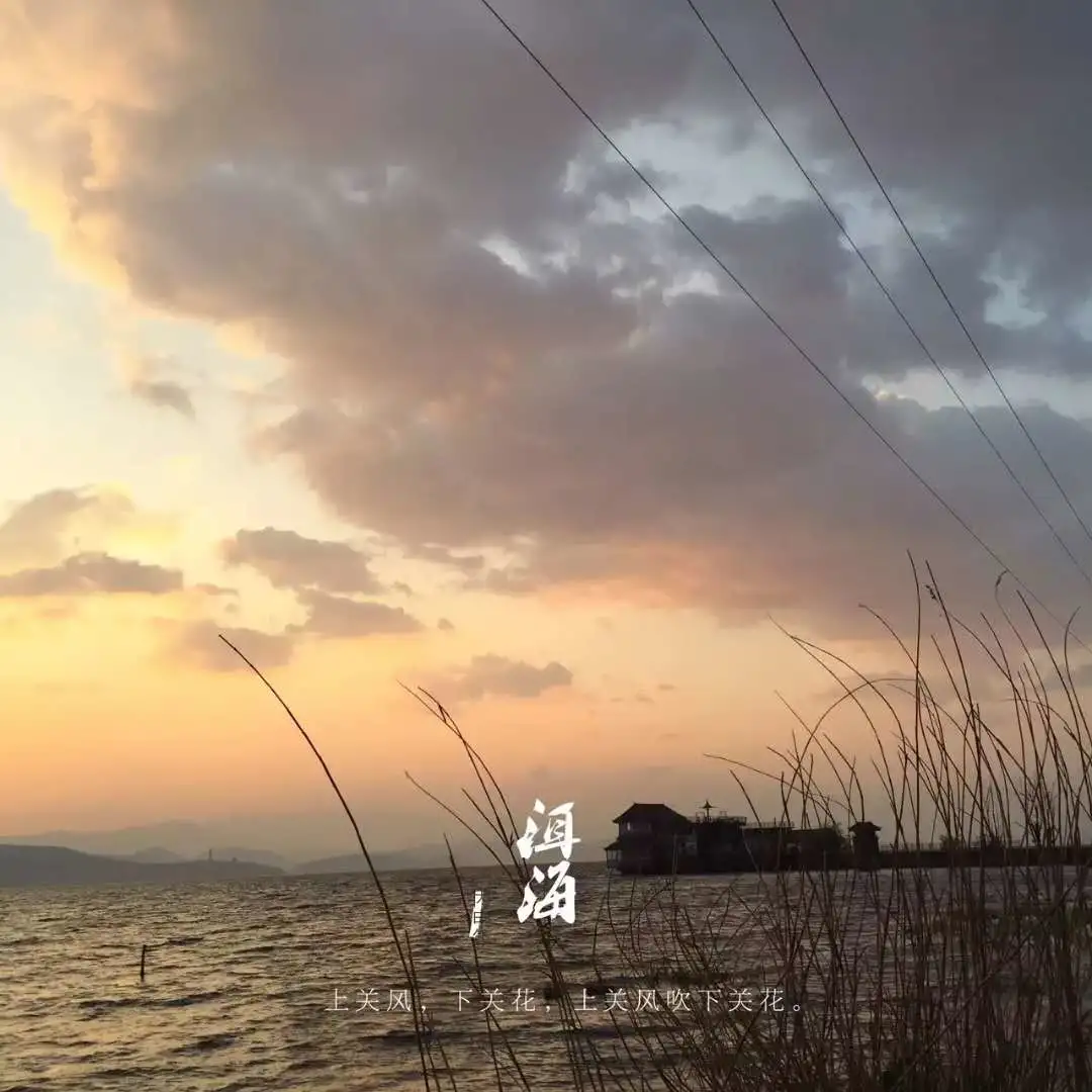 生活充满知识|善于发现领导的优点