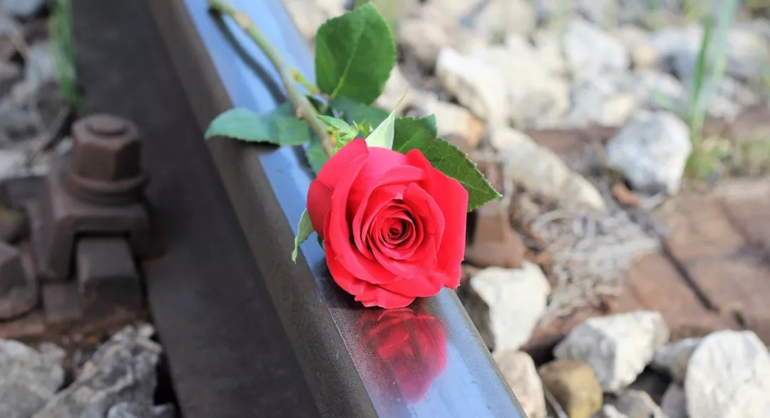 幪茳尔措 女人，往后余生，好好爱自己