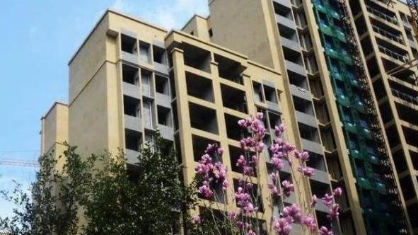 “两梯四户”不吃香了，越来越多的人不看好，业主：花钱找麻烦