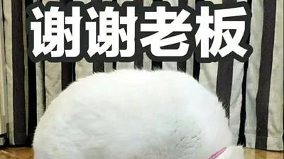 小宇恋爱|谈恋爱，朋友圈设置多久可见最好？