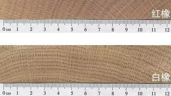 选家具的时候怎么分辨红橡与白像