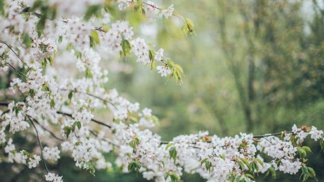 闲时翻书君|接连挫折之下，人的价值在哪里？感悟一个数学天才的经历