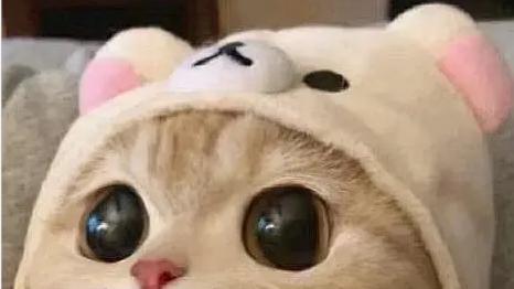 我就是小妮子呀|频繁聊天会产生恋爱的错觉吗？