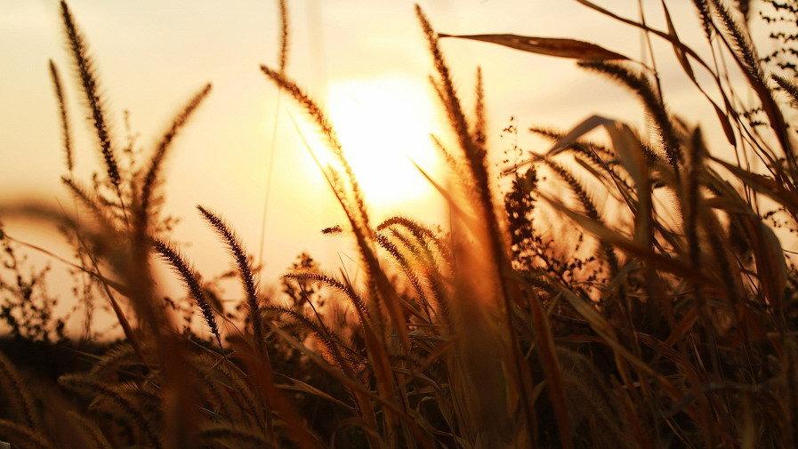 人间小Q|毕业存款10万，穷小伙从被人嘲笑到人人承认他的优秀，他凭什么？