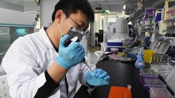 萌听小c姐|高考满分！海南考生取得900分好成绩，将就读“卡脖子”专业