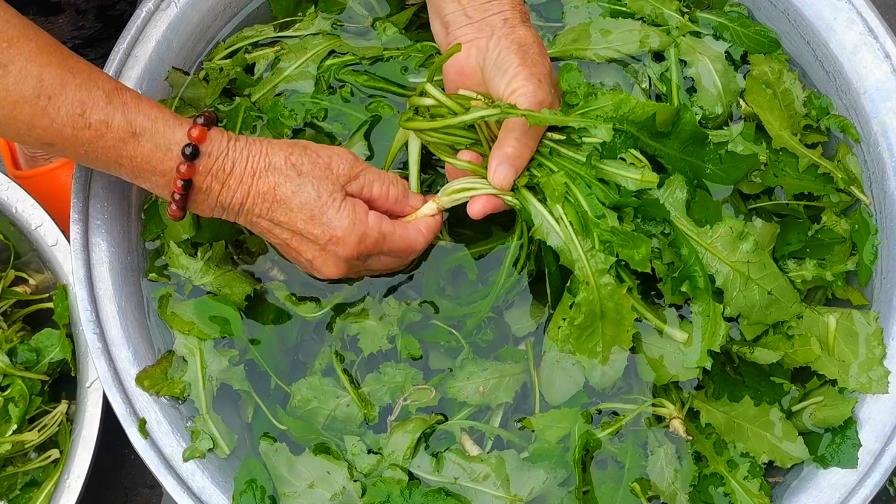 野菜|秋天碰见这菜别手软，不用花1分钱，多囤点放冰箱，冬天吃特省事