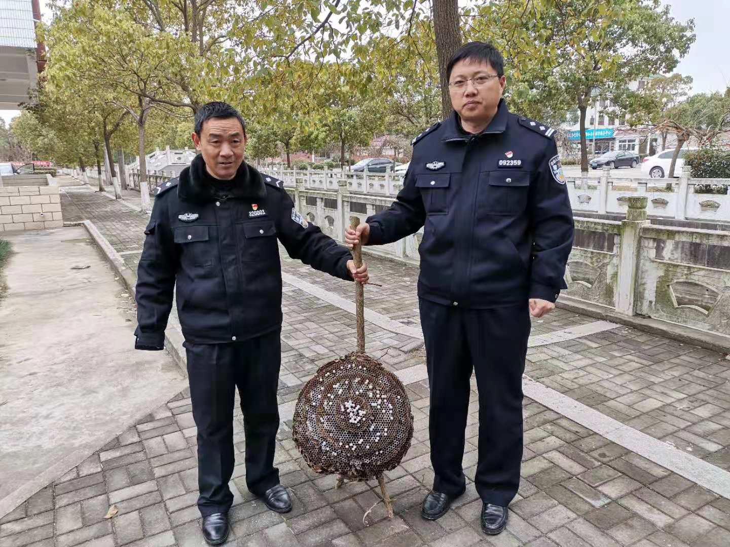 基层民警心细如尘，巡逻时发现并摘除巨型马蜂窝赢好评