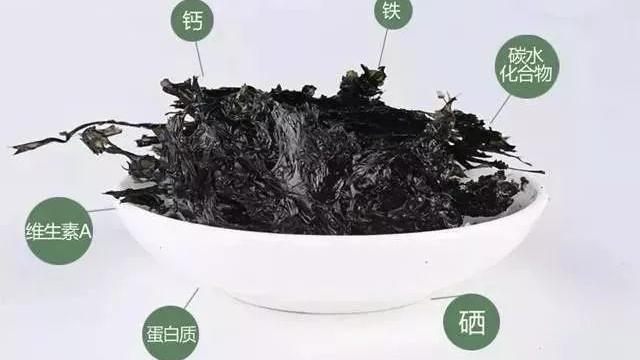 紫菜|寻味乡里丨浓缩大海精华的美味—坛紫菜焖海蛎