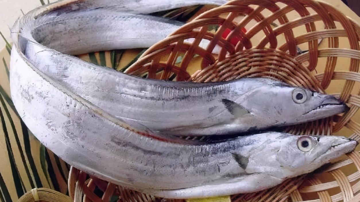 带鱼|同样是带鱼，黑眼睛和黄眼睛区别很大，弄懂了再买不吃亏！