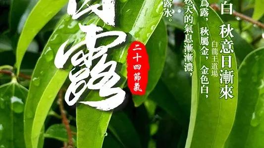 白龙王说|白露时节好运指南，看完运势旺上加旺！