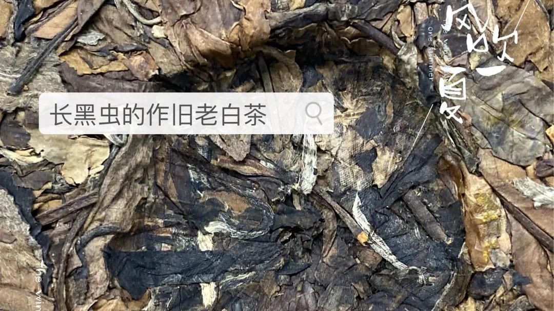 茶叶|十年的福鼎老白茶，没有味道闷一闷就行，这是正常的吗？