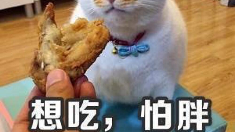 马苏 节食瘦下来和运动减肥瘦下来有什么区别？