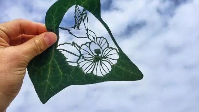 喵喵的小屋巴士 很撩很直白的句子，文艺深情，让人心动不已