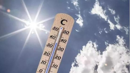 沙漠骆驼 地球怎么了？阿尔及利亚60℃高温不退，沙漠骆驼当场被热昏
