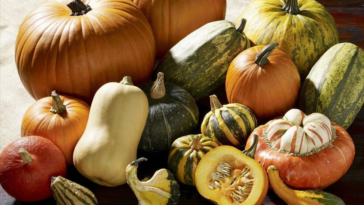 南瓜|“老南瓜当粮，嫩南瓜当菜”南瓜的营养价值