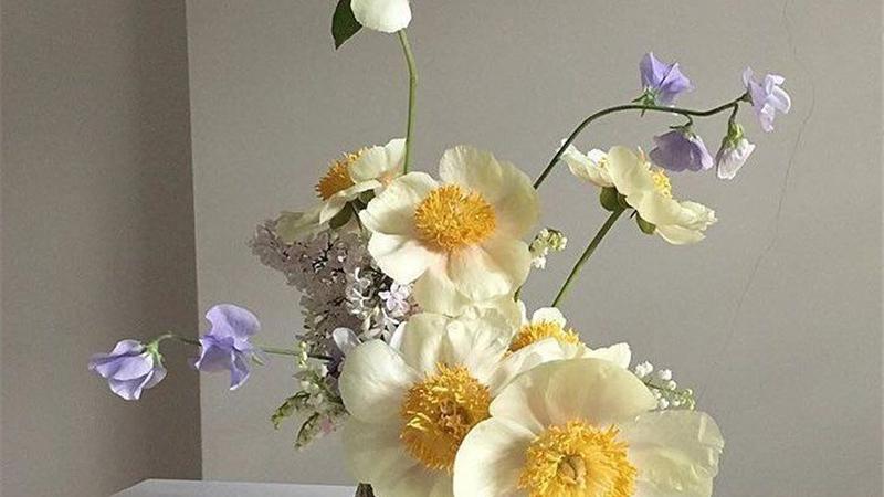 子知鱼 金牛座女生：离开总是无声无息，深情专一，渴望被爱却总是受伤