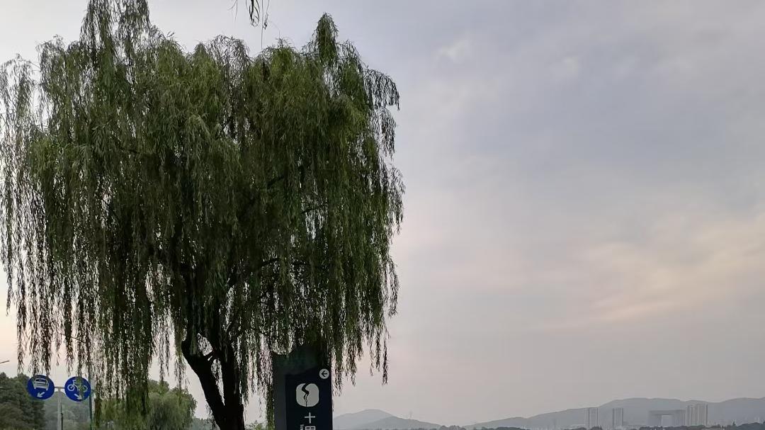 掬水月镜花缘 佳节又重阳，秋在岁月的流逝中温婉如初