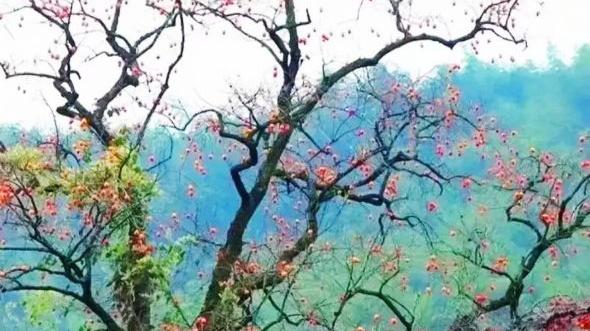看书之家 情感：写在深秋里的一篇文章
