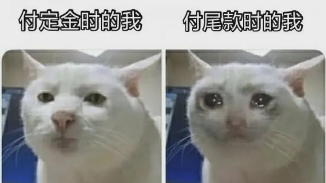 周新聊情 武汉双十一快递站：球机全监控无死角，高效自动分拣