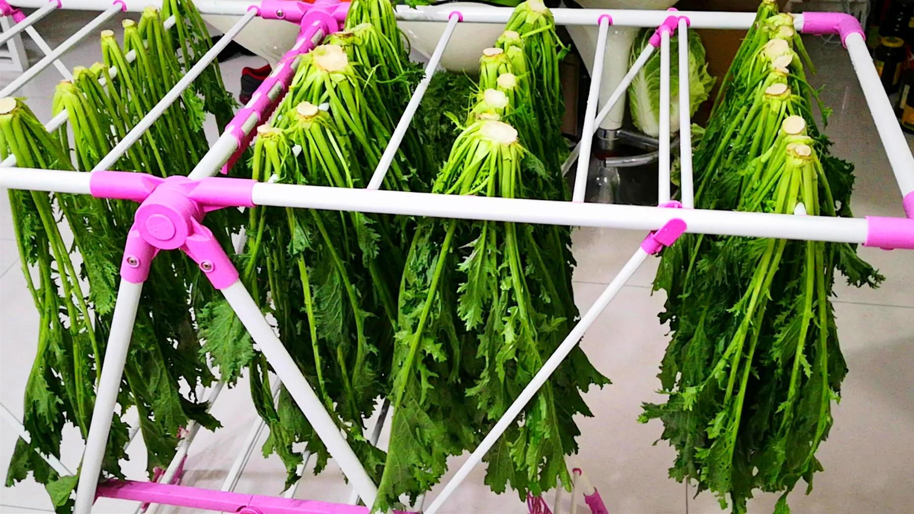 杭州|奶奶用了60年的秘方，一不小心被我泄露，爱吃腌雪里蕻的要收藏好