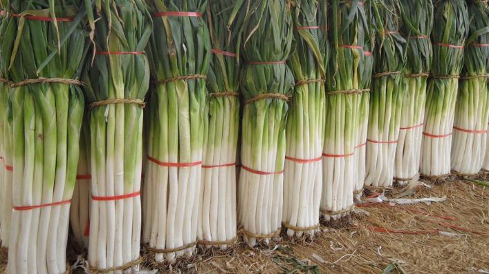 饺子|大葱的价值可不单单是配菜，这些作用令你意想不到，做法也超好吃