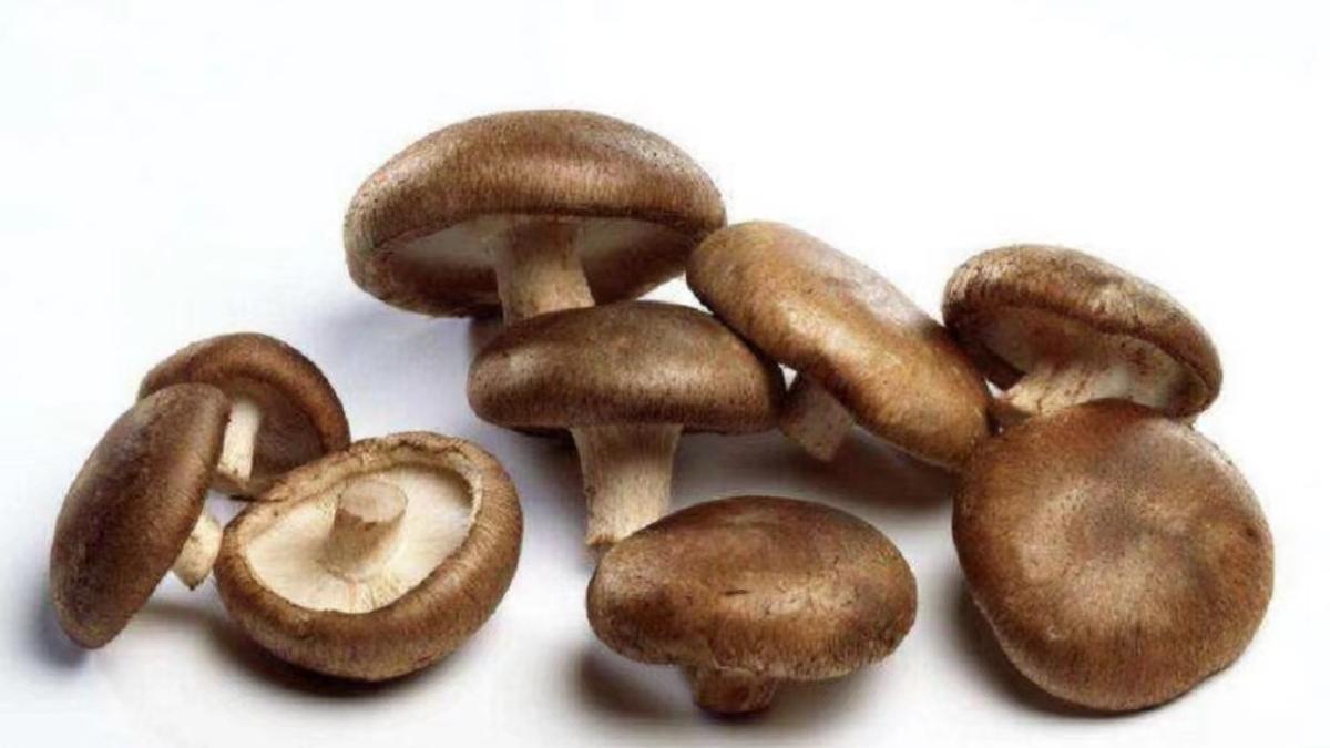 鸡蛋|鲜味十足的鸡蛋菌菇汤，滑嫩营养，超级美味