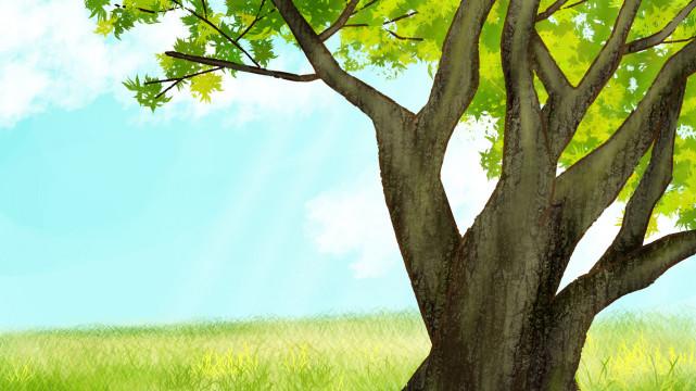 巧大叔|女人偷偷暗恋你，才会这样“试探”你