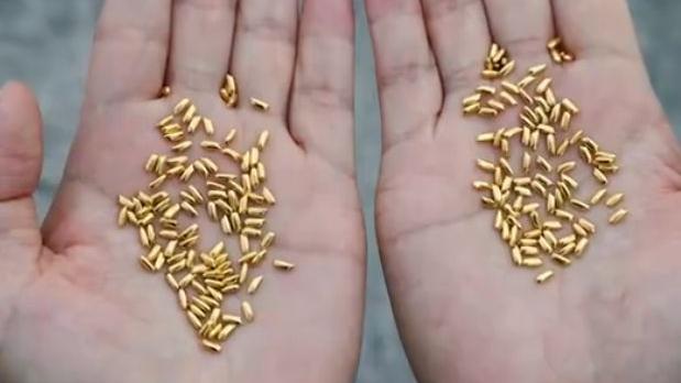 贫穷限制想象力！艺术家打造1000粒纯金大米，扔黄浦江只为反浪费