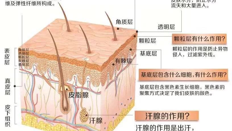 纳米|重新颠覆你对洗脸的认知
