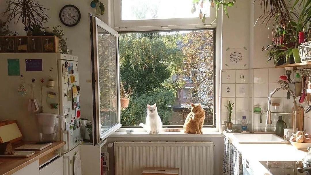 老师傅不愿透露的“秘密”，这6个细节没做对，再大的厨房也会乱