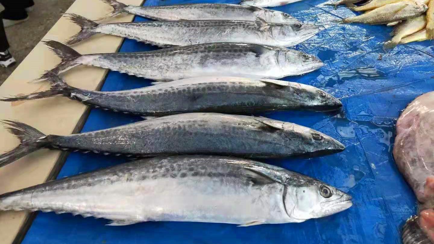 |夏季来临，奶奶叮嘱我：不要贪食这“6种”海鲜，过犹不及伤身体