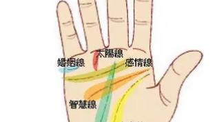 玄风命理|手上的心脑线，及其寓意！