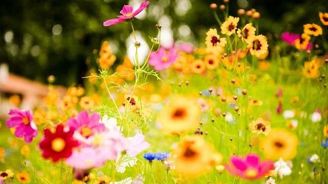 末小北|姑娘，千万不要高估了睡一觉的关系