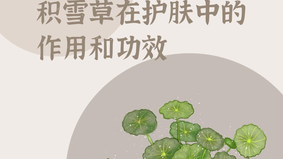 口红 美容护肤界雪颜护肤的“万金油”！