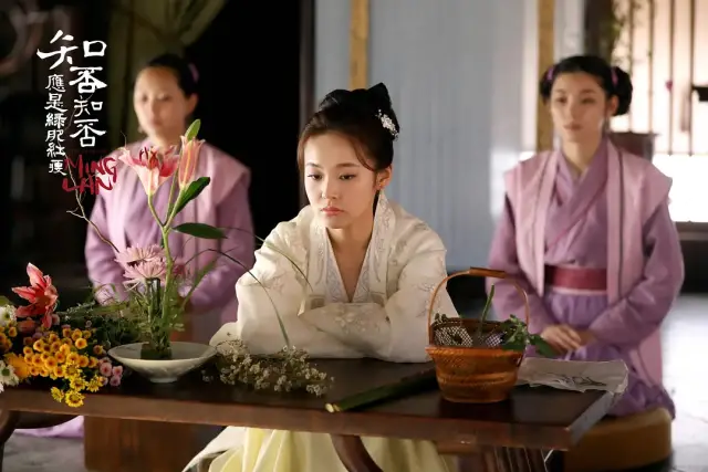 慢慢来的脚步|她是《知否》里命最好的女人，连盛明兰都嫉妒她