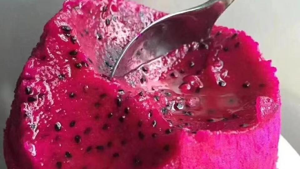 火龙果 秋季减肥 促进消化 霸王花 火龙果你选择了吗