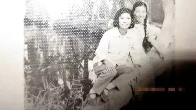 新疆维吾尔自治区|娱乐圈最大的八卦，都比不上这位女神产的瓜！