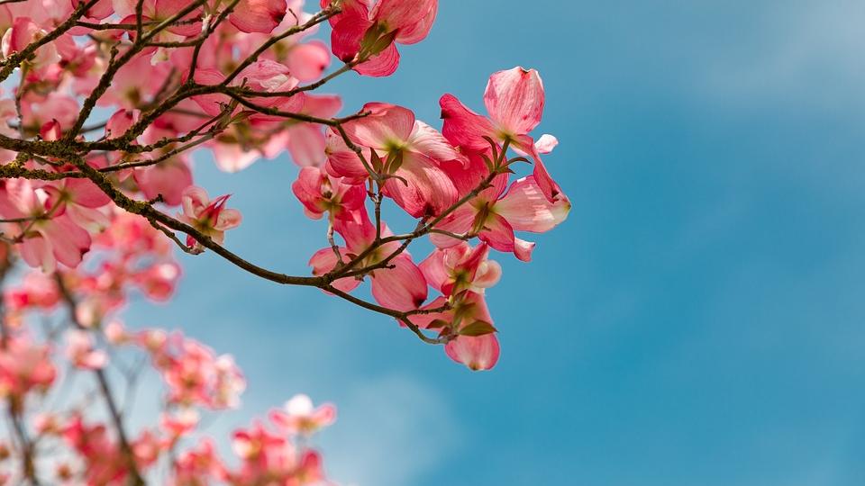 时光了了 男人的“桃花运”，和金钱无关