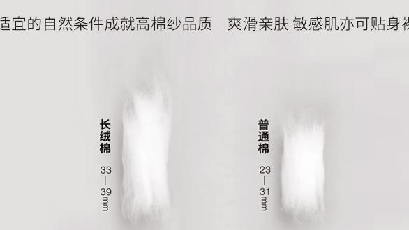 网购床品易踩雷，选不到适合自己的？这篇文章一定能帮到你！