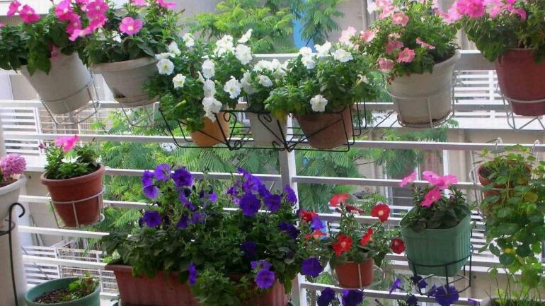 阳台只能晾衣服吗？那就证明你的阳台来利用了，这样的改造太香了