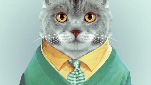 有温度的潮句子|高雅有内涵的一句话，字字千金，富含哲理！