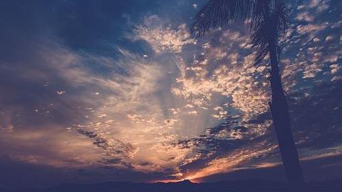 染夏英子|夜晚的月光太迷人，总会让人做出一些错误的判断