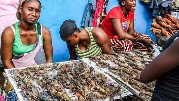 舌尖上的非洲，看看非洲人到底吃什么?