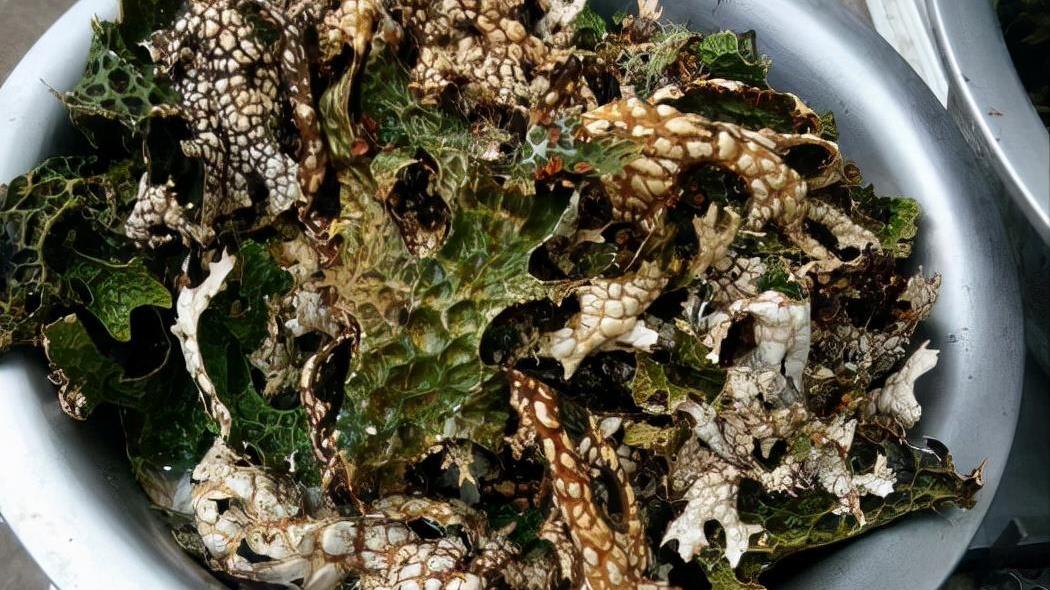牛杂|云南独一无二的一道菜，当地人天天吃不够，外地人被名字所劝退