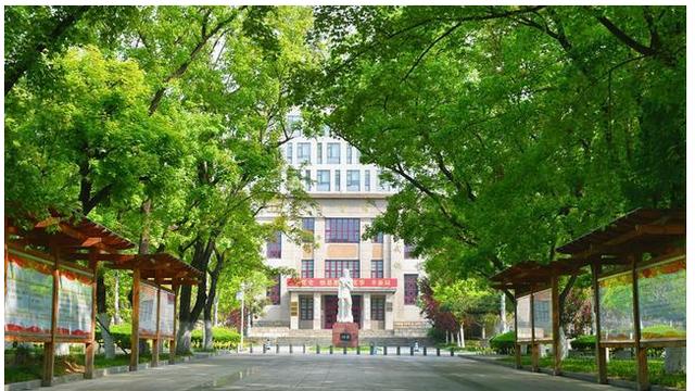 情窦初开的青春|山东双一流建设：放着山师山农不扶持，反而扶持临大曲师进双一流