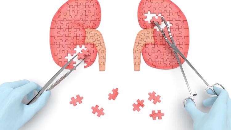 肿瘤|囊肿吃什么食物能减小？医生：囊肿的部位，决定了处理方式