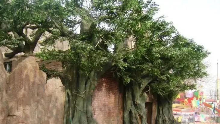 宝可梦|《宝可梦》来源与生态：树才怪明明长着像树为何却是岩石系？